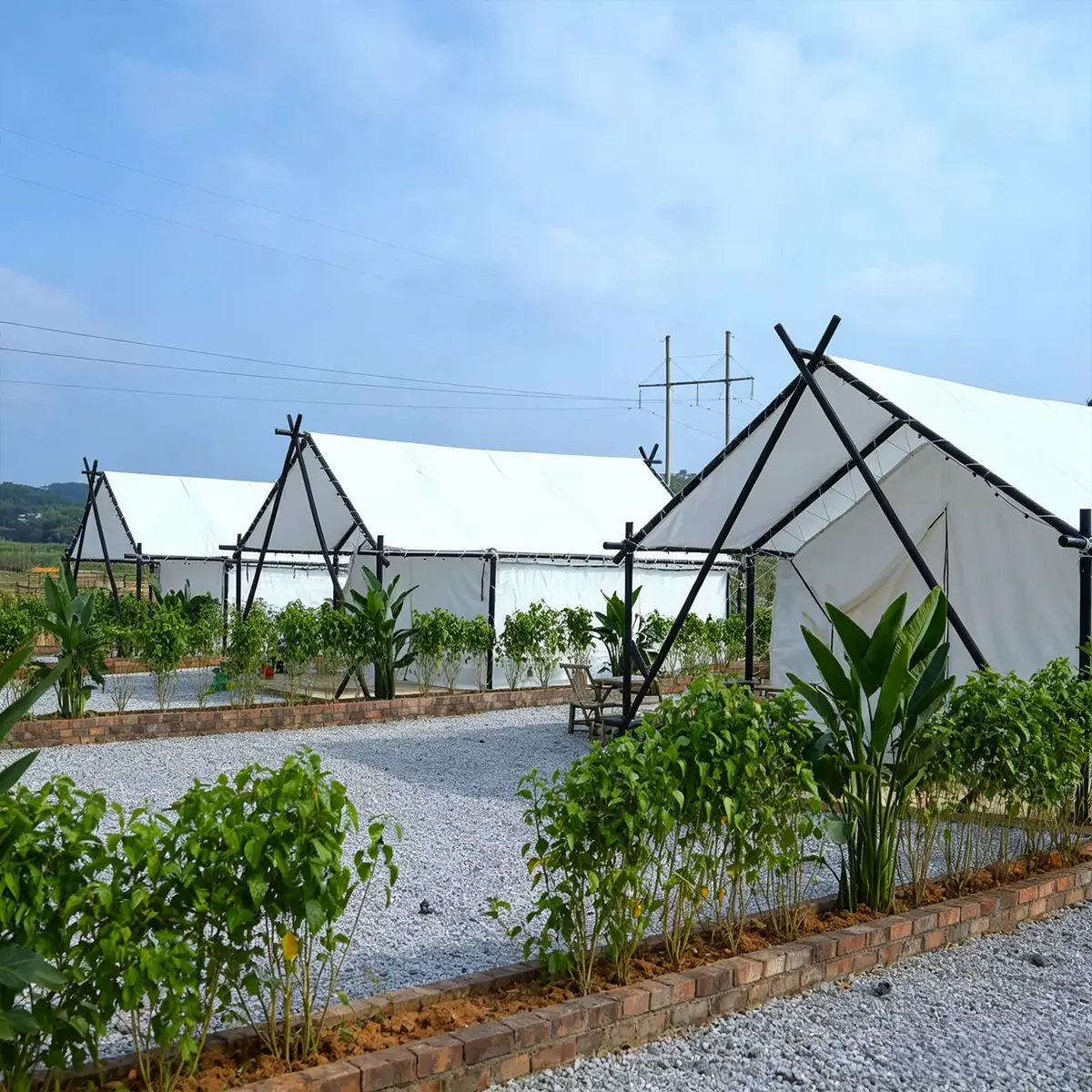 Glamping resort layout with several luxury safari tents in a row, white covers and black frames under blue sky.